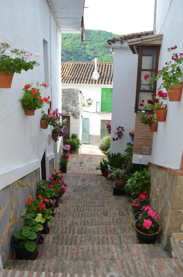 Villa Casa La Puente Jubrique Exterior foto